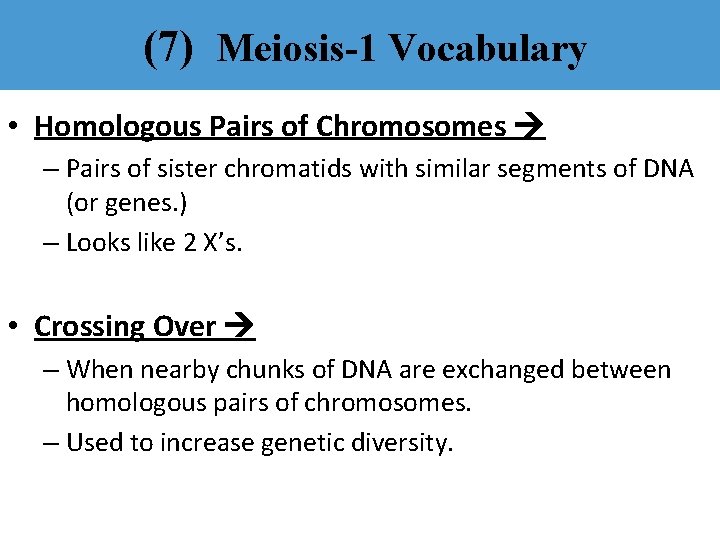 (7) Meiosis-1 Vocabulary • Homologous Pairs of Chromosomes – Pairs of sister chromatids with