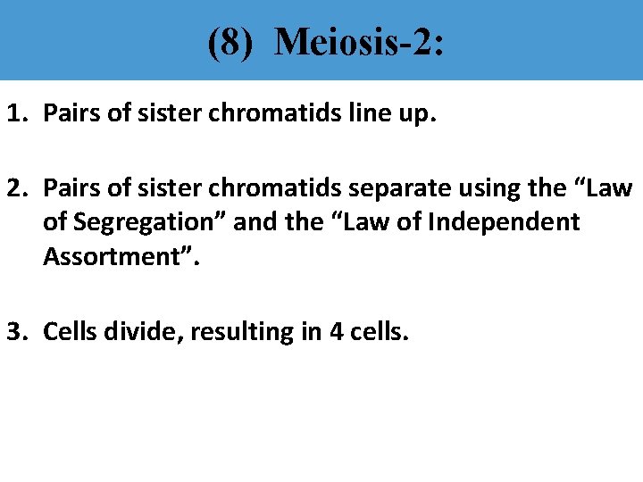 (8) Meiosis-2: 1. Pairs of sister chromatids line up. 2. Pairs of sister chromatids