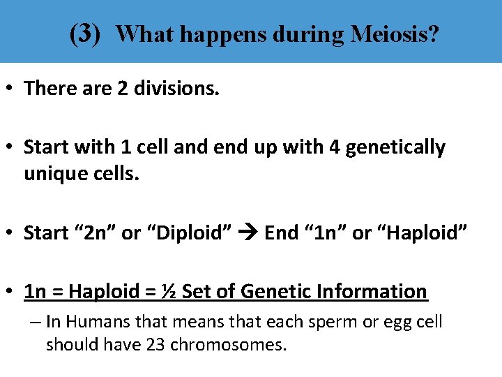 (3) What happens during Meiosis? • There are 2 divisions. • Start with 1