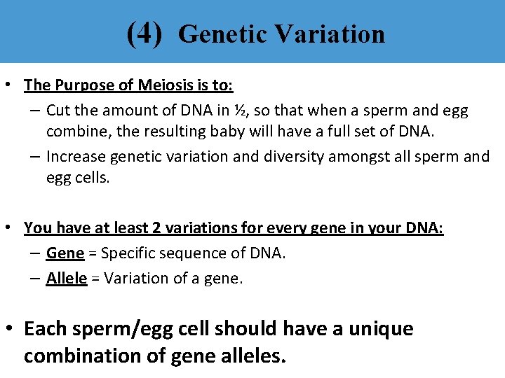 (4) Genetic Variation • The Purpose of Meiosis is to: – Cut the amount