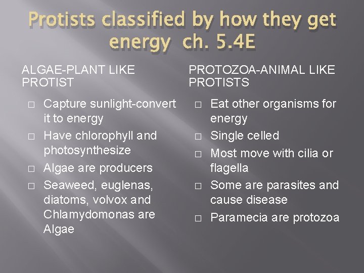 Protists classified by how they get energy ch. 5. 4 E ALGAE-PLANT LIKE PROTIST
