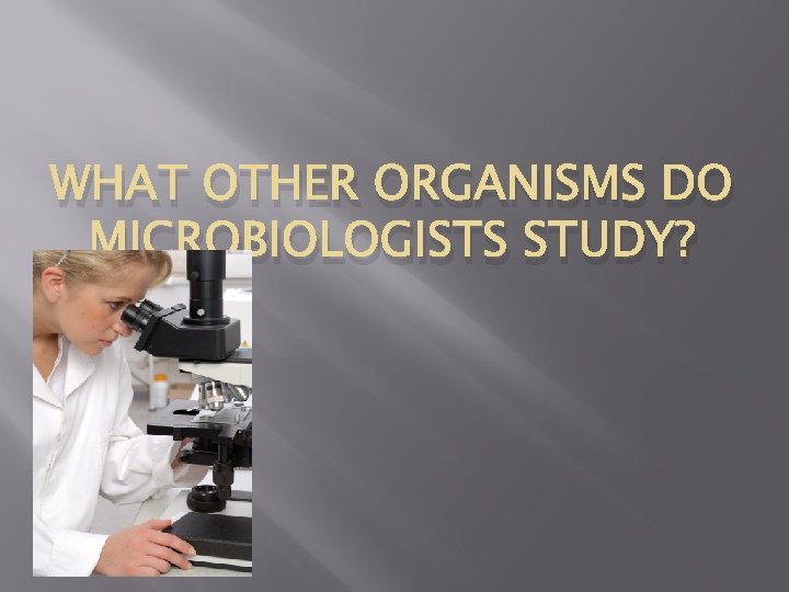 WHAT OTHER ORGANISMS DO MICROBIOLOGISTS STUDY? 