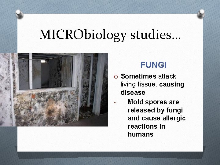 MICRObiology studies… PROTOZOA O found in natural waters, O unicellular EUKARYOTE! O can cause