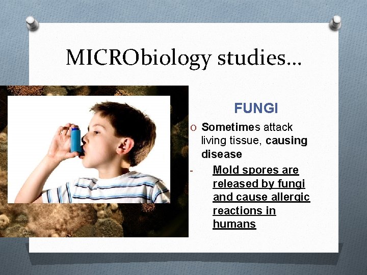 MICRObiology studies… PROTOZOA O found in natural waters, O unicellular EUKARYOTE! O can cause