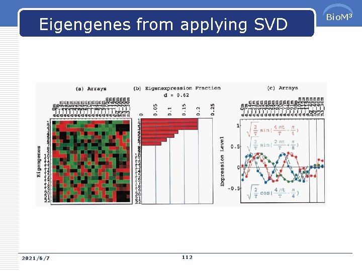 Eigengenes from applying SVD 2021/6/7 112 Bio. M 3 