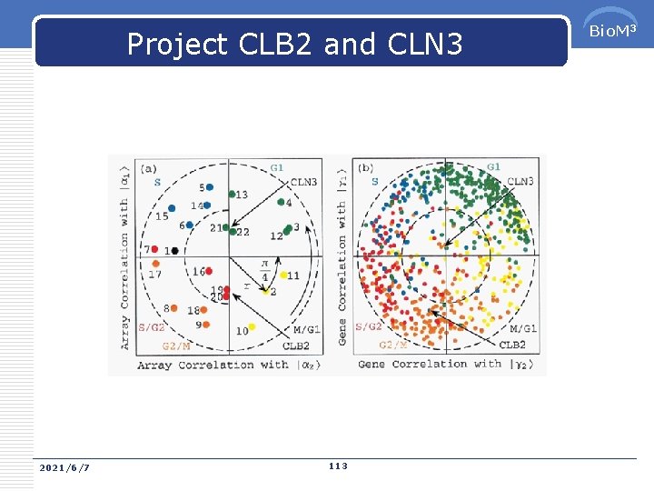 Project CLB 2 and CLN 3 2021/6/7 113 Bio. M 3 