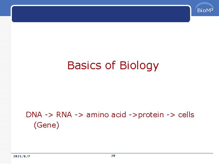 Bio. M 3 Basics of Biology DNA -> RNA -> amino acid ->protein ->