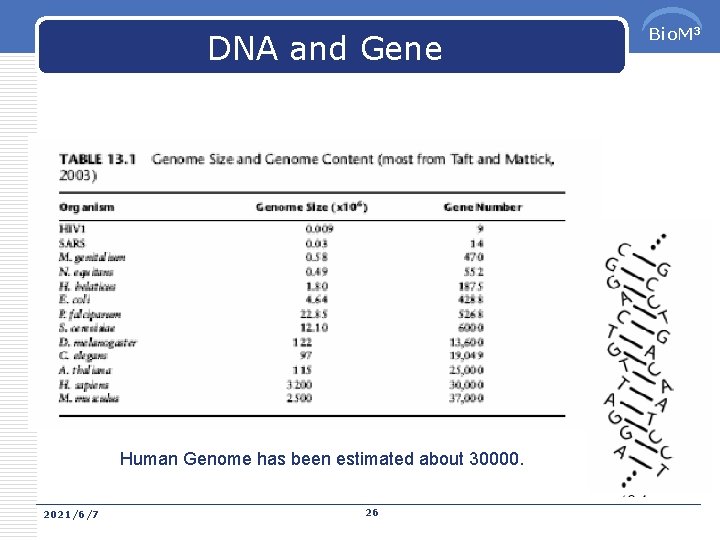 DNA and Gene Human Genome has been estimated about 30000. 2021/6/7 26 Bio. M