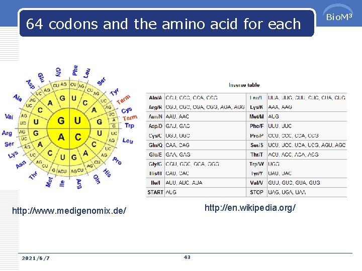 64 codons and the amino acid for each http: //en. wikipedia. org/ http: //www.