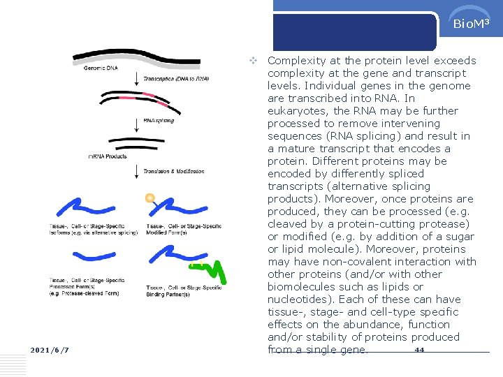 Bio. M 3 2021/6/7 v Complexity at the protein level exceeds complexity at the
