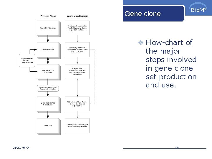 Bio. M 3 Gene clone v Flow-chart of the major steps involved in gene