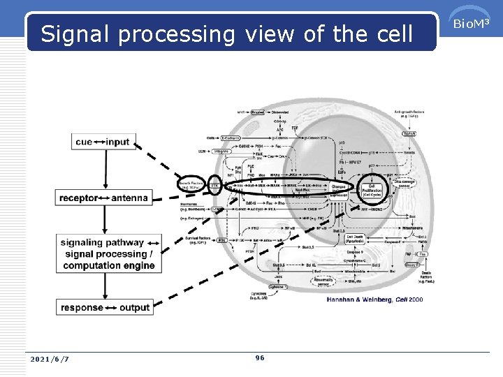 Signal processing view of the cell 2021/6/7 96 Bio. M 3 
