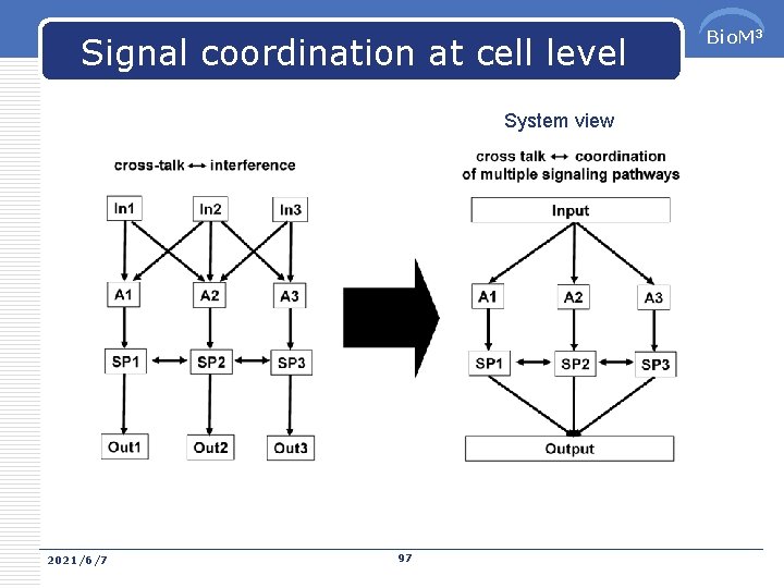 Signal coordination at cell level System view 2021/6/7 97 Bio. M 3 