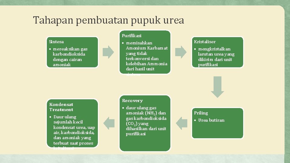 Tahapan pembuatan pupuk urea Purifikasi Sintesa • mereaksikan gas karbondioksida dengan cairan amoniak Kondensat
