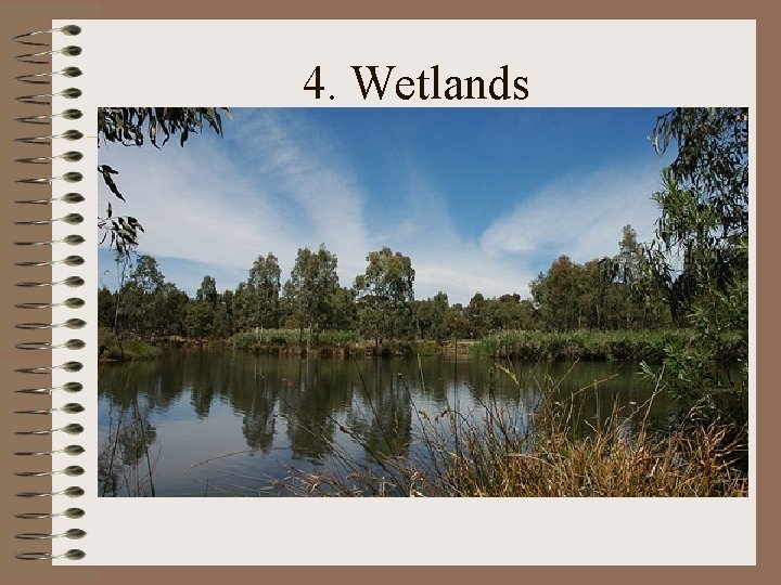 4. Wetlands 