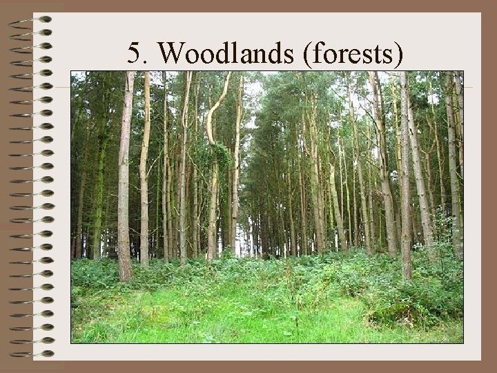 5. Woodlands (forests) 