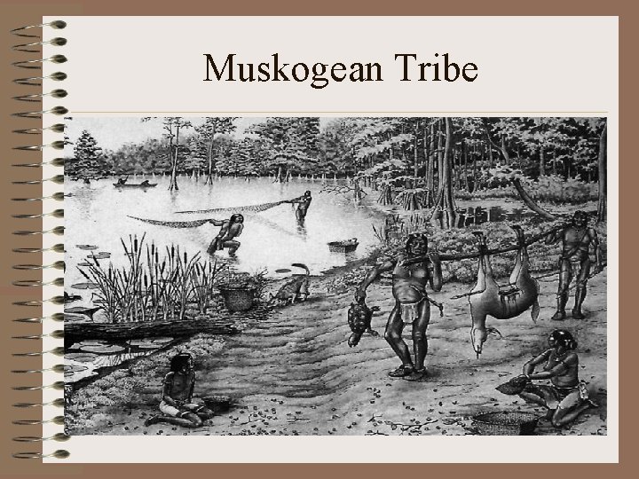 Muskogean Tribe 