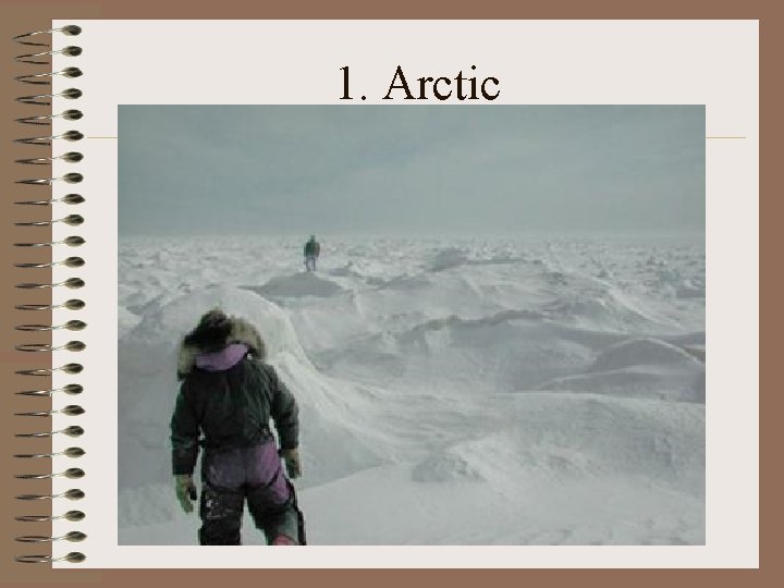 1. Arctic 