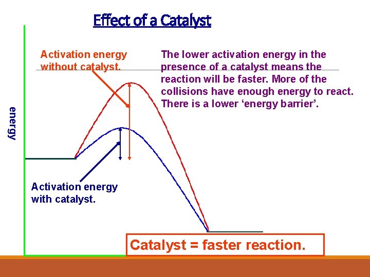 Effect of a Catalyst Activation energy without catalyst. energy The lower activation energy in