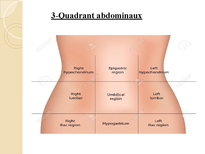 3 -Quadrant abdominaux 