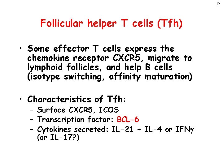 13 Follicular helper T cells (Tfh) • Some effector T cells express the chemokine