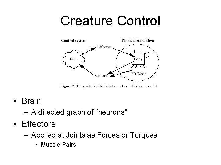 Creature Control • Brain – A directed graph of “neurons” • Effectors – Applied