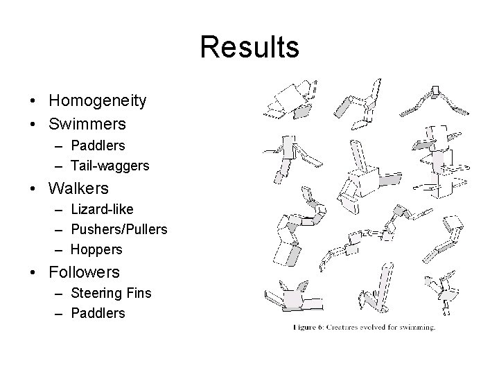 Results • Homogeneity • Swimmers – Paddlers – Tail-waggers • Walkers – Lizard-like –