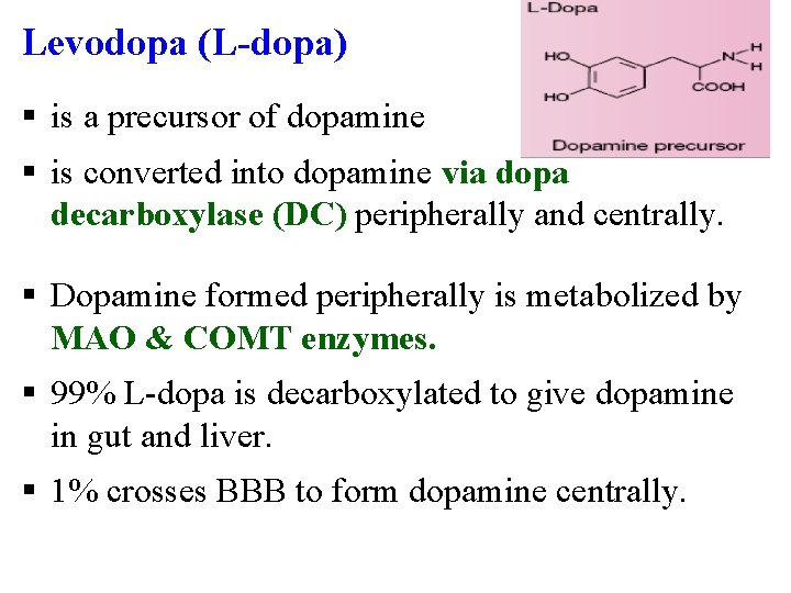 Levodopa (L-dopa) § is a precursor of dopamine § is converted into dopamine via