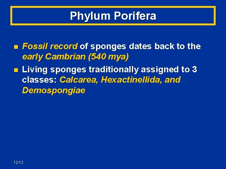Phylum Porifera n n Fossil record of sponges dates back to the early Cambrian