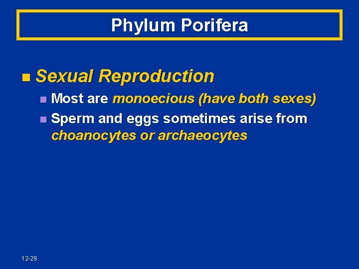 Phylum Porifera n Sexual Reproduction Most are monoecious (have both sexes) n Sperm and