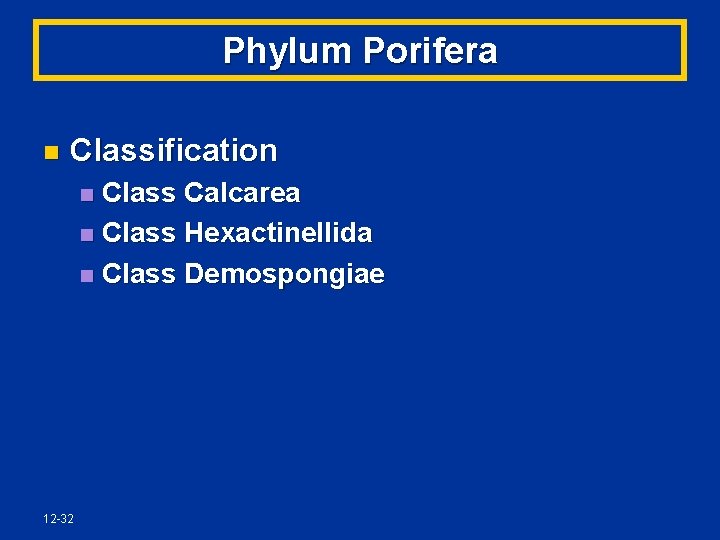 Phylum Porifera n Classification Class Calcarea n Class Hexactinellida n Class Demospongiae n 12