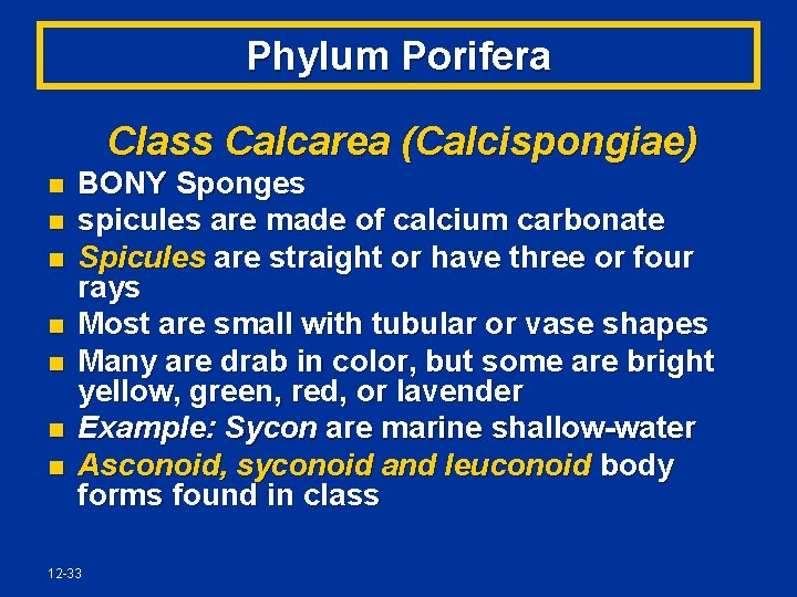 Phylum Porifera Class Calcarea (Calcispongiae) n n n n BONY Sponges spicules are made