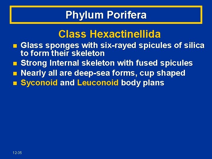 Phylum Porifera Class Hexactinellida n n Glass sponges with six-rayed spicules of silica to
