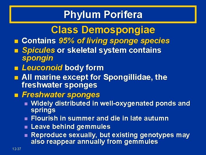 Phylum Porifera Class Demospongiae n n n Contains 95% of living sponge species Spicules