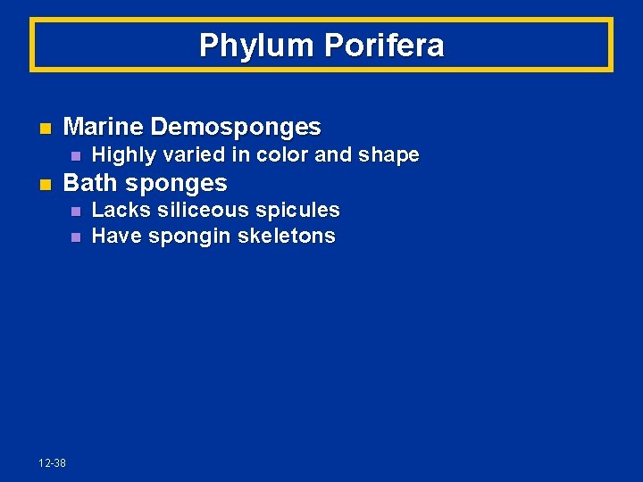 Phylum Porifera n Marine Demosponges n n Highly varied in color and shape Bath