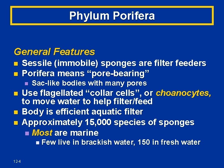 Phylum Porifera General Features n n Sessile (immobile) sponges are filter feeders Porifera means
