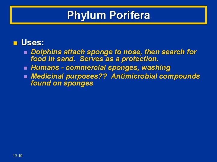 Phylum Porifera n Uses: n n n 12 -40 Dolphins attach sponge to nose,