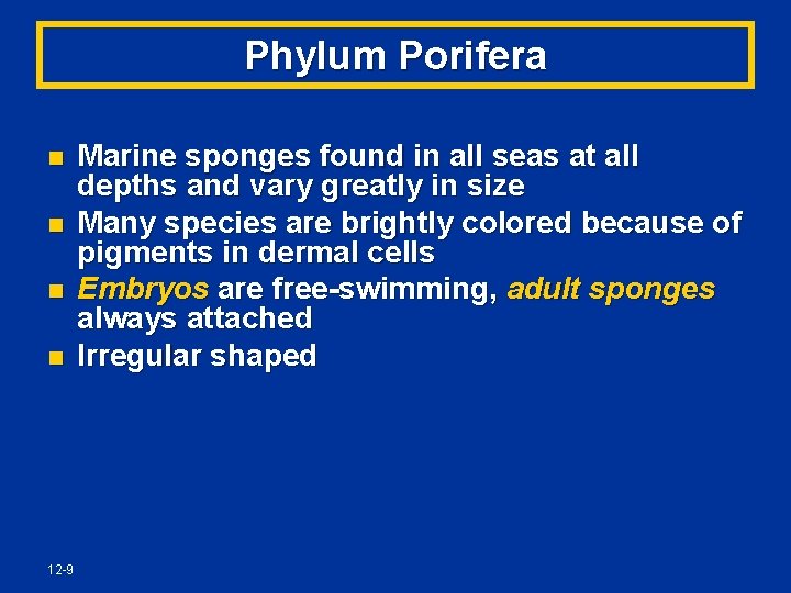 Phylum Porifera n n 12 -9 Marine sponges found in all seas at all