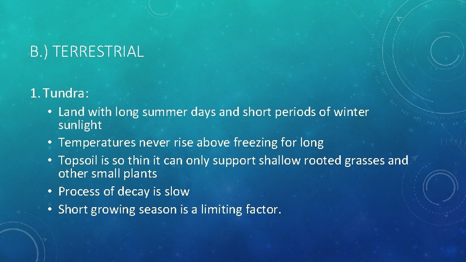 B. ) TERRESTRIAL 1. Tundra: • Land with long summer days and short periods