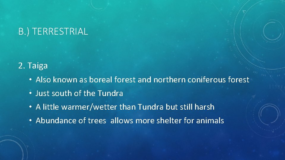 B. ) TERRESTRIAL 2. Taiga • Also known as boreal forest and northern coniferous