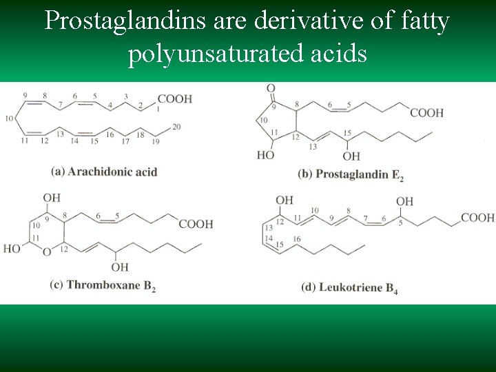 Prostaglandins are derivative of fatty polyunsaturated acids 