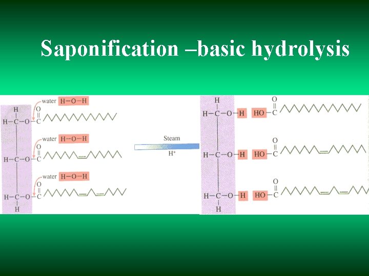 Saponification –basic hydrolysis 