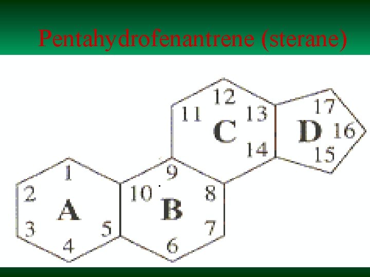 Pentahydrofenantrene (sterane) 