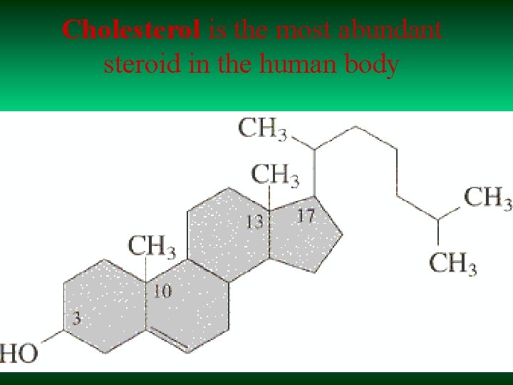 Cholesterol is the most abundant steroid in the human body 