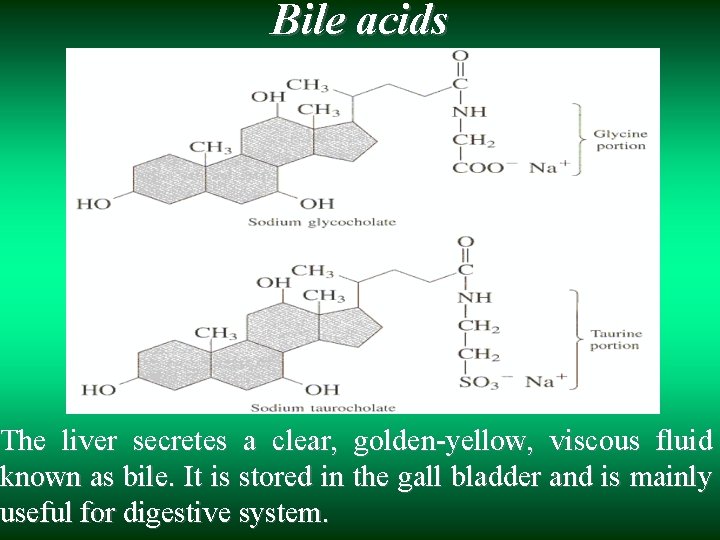 Bile acids The liver secretes а clear, golden-yellow, viscous fluid known as bile. It