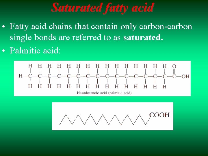 Saturated fatty acid • Fatty acid chains that contain only carbon-carbon single bonds are