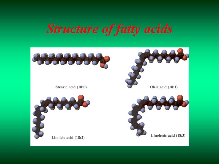 Structure of fatty acids 