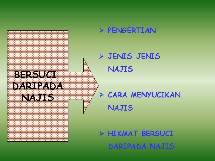 Ø PENGERTIAN Ø JENIS-JENIS BERSUCI DARIPADA NAJIS Ø CARA MENYUCIKAN NAJIS Ø HIKMAT BERSUCI Ø PENGERTIAN Ø JENIS-JENIS BERSUCI DARIPADA NAJIS Ø CARA MENYUCIKAN NAJIS Ø HIKMAT BERSUCI