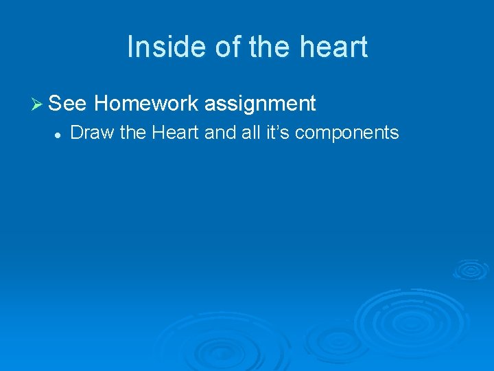 Inside of the heart Ø See Homework assignment l Draw the Heart and all Inside of the heart Ø See Homework assignment l Draw the Heart and all