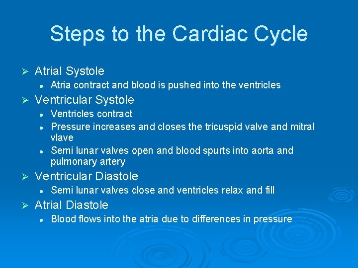 Steps to the Cardiac Cycle Ø Atrial Systole l Ø Ventricular Systole l l Steps to the Cardiac Cycle Ø Atrial Systole l Ø Ventricular Systole l l
